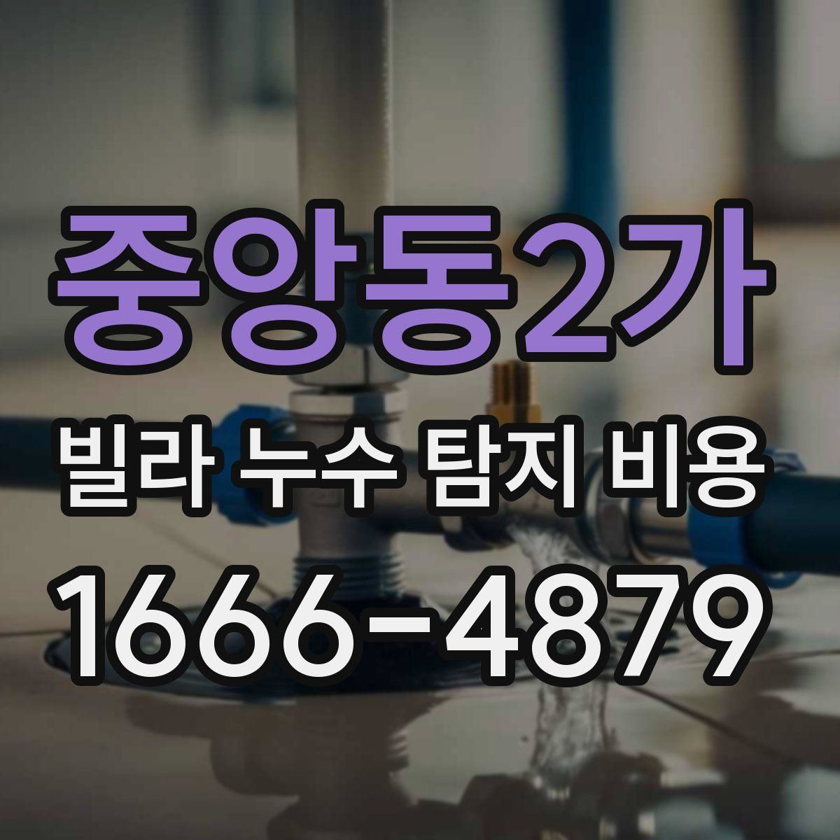 중앙동2가 빌라 누수 탐지 비용