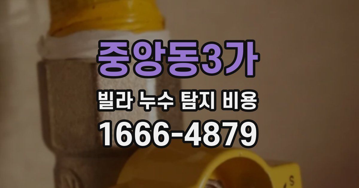 중앙동3가 빌라 누수 탐지 비용