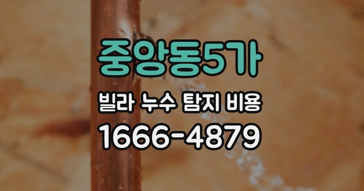 중앙동5가 빌라 누수 탐지 비용