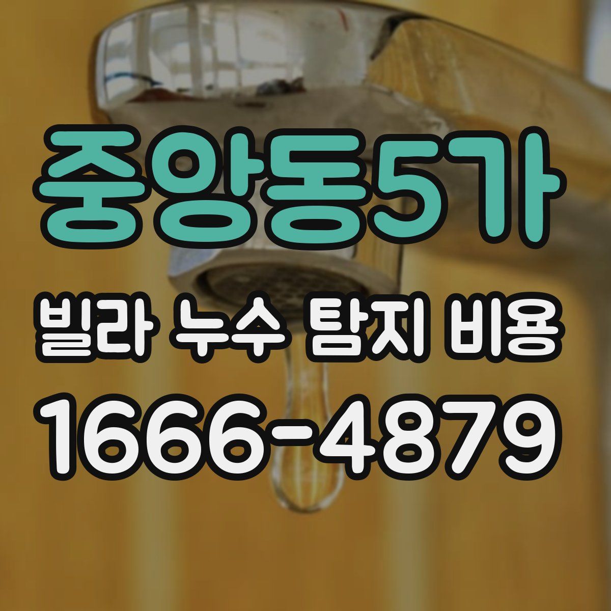 중앙동5가 빌라 누수 탐지 비용