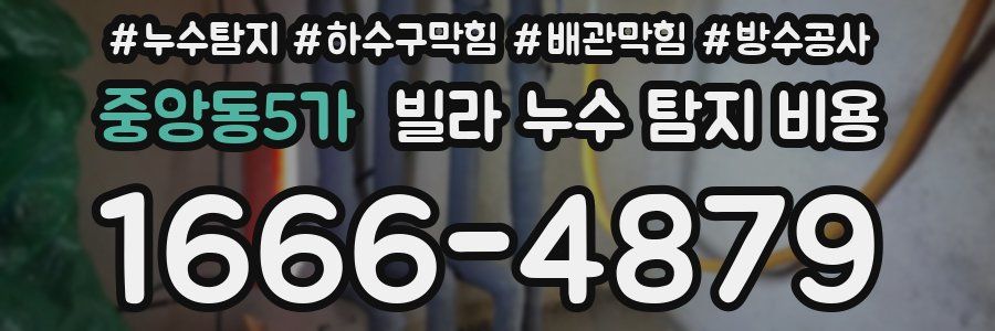 중앙동5가 빌라 누수 탐지 비용