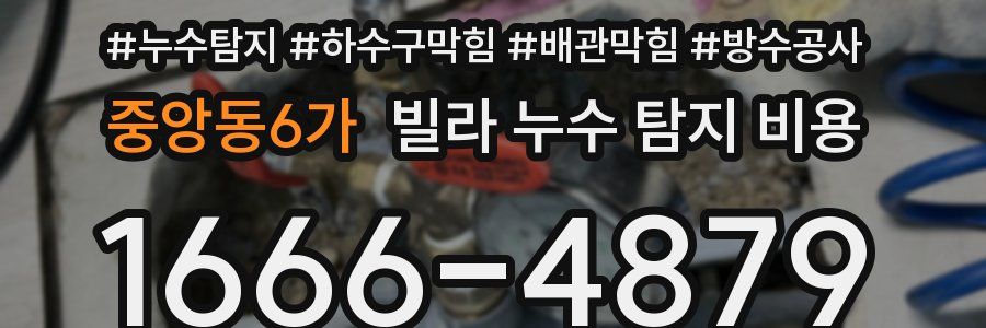 중앙동6가 빌라 누수 탐지 비용