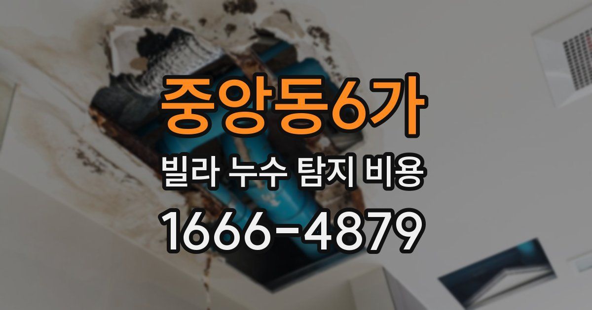 중앙동6가 빌라 누수 탐지 비용