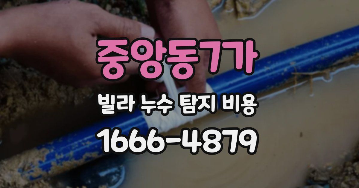 중앙동7가 빌라 누수 탐지 비용