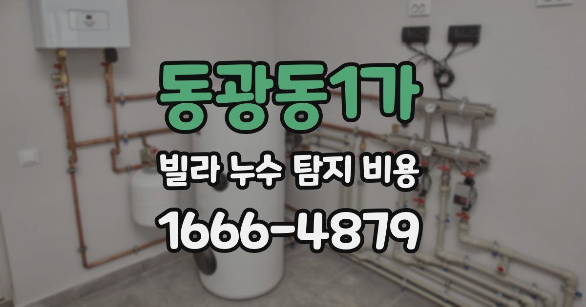 동광동1가 빌라 누수 탐지 비용