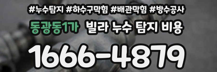 동광동1가 빌라 누수 탐지 비용