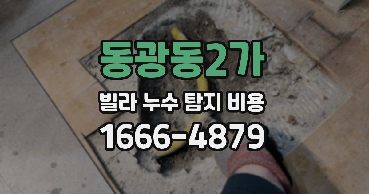 동광동2가 빌라 누수 탐지 비용