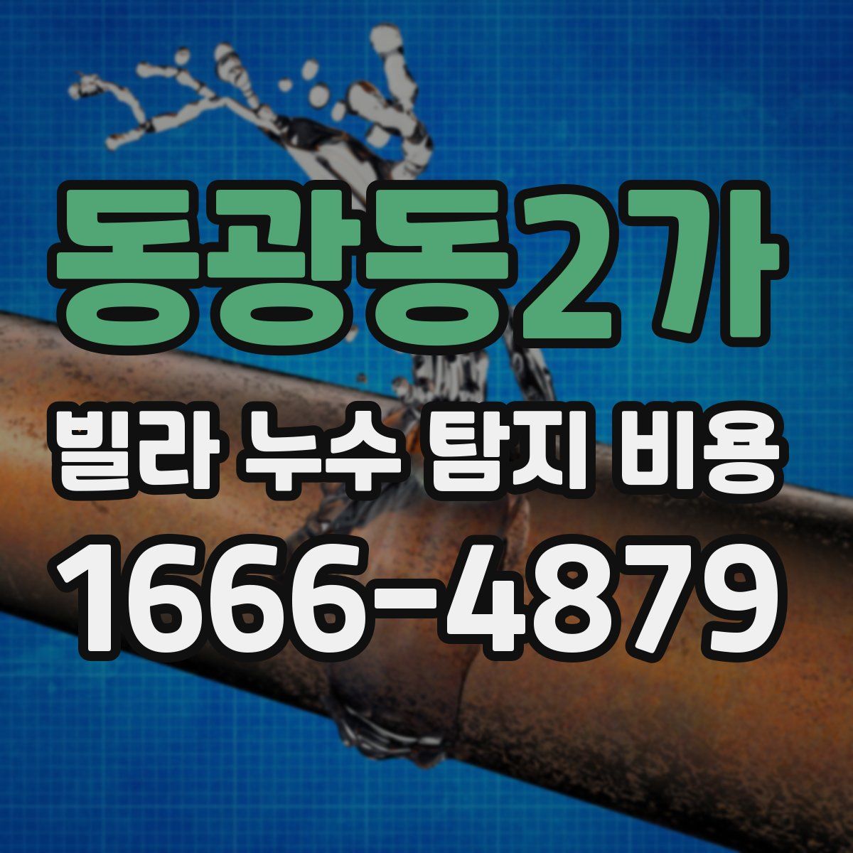동광동2가 빌라 누수 탐지 비용