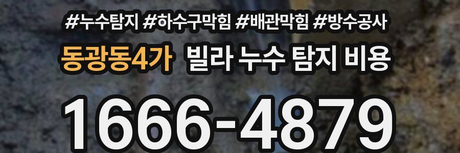 동광동4가 빌라 누수 탐지 비용