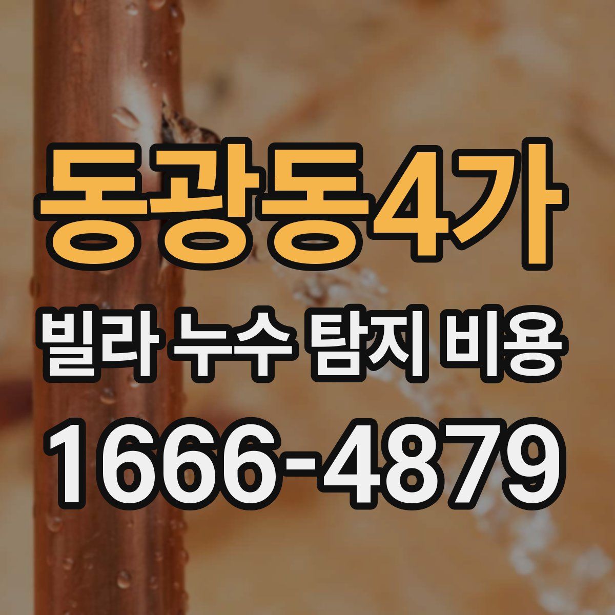 동광동4가 빌라 누수 탐지 비용