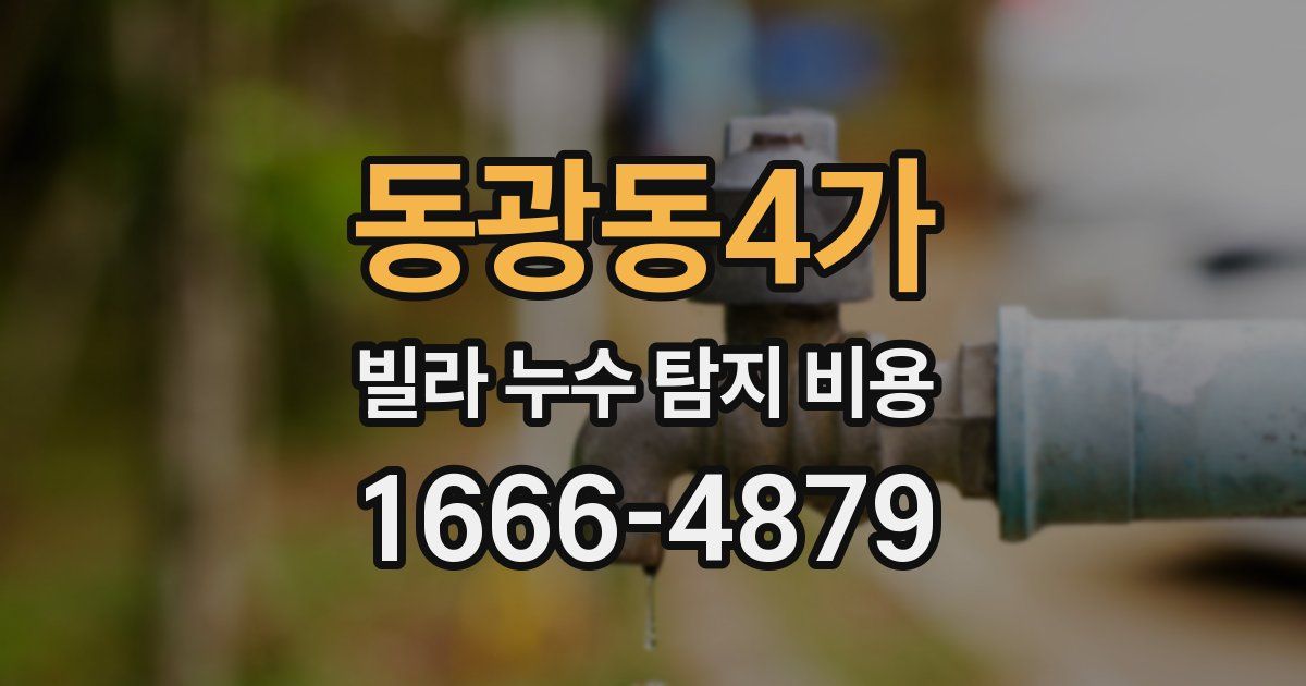 동광동4가 빌라 누수 탐지 비용