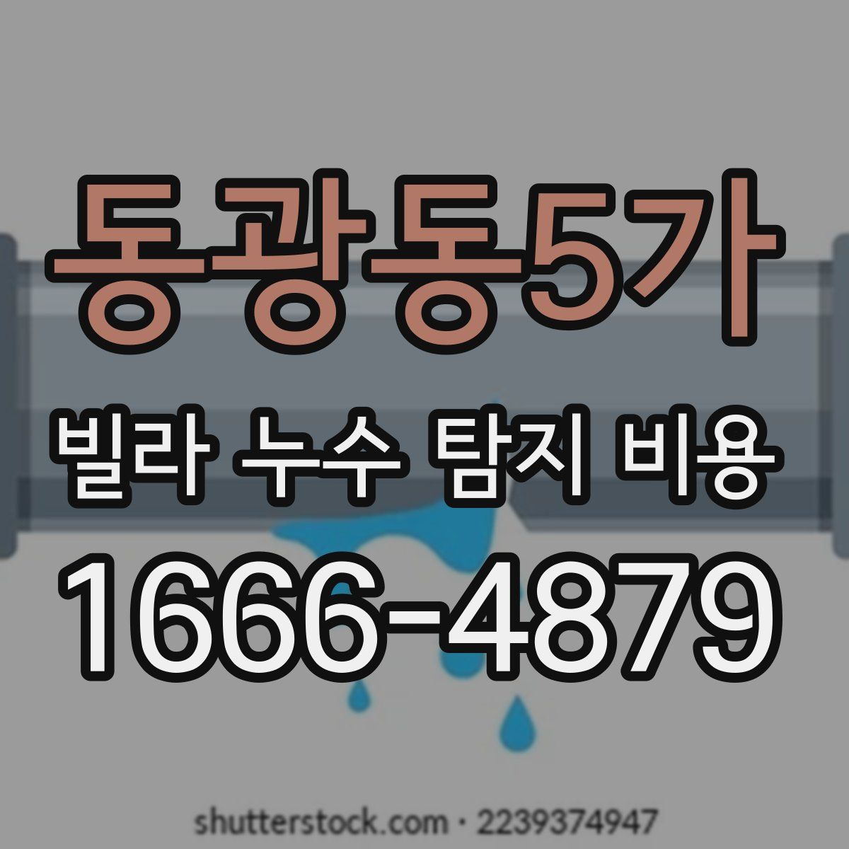 동광동5가 빌라 누수 탐지 비용
