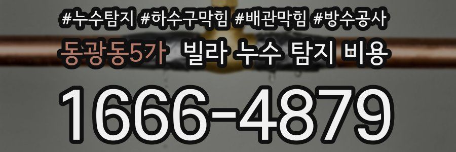 동광동5가 빌라 누수 탐지 비용