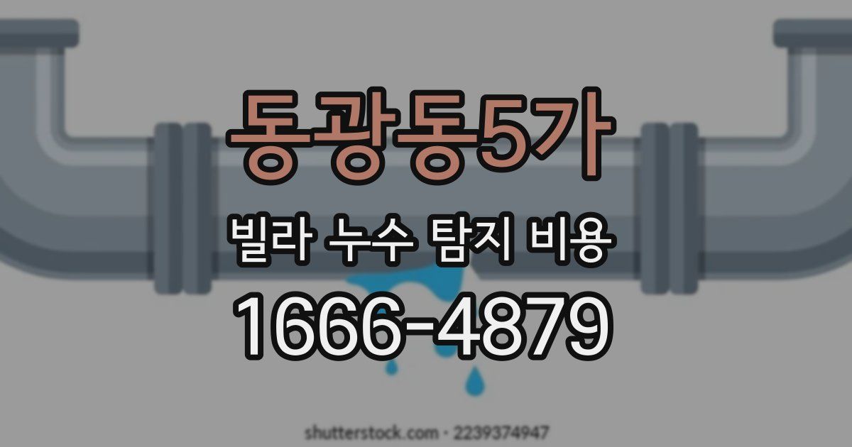동광동5가 빌라 누수 탐지 비용