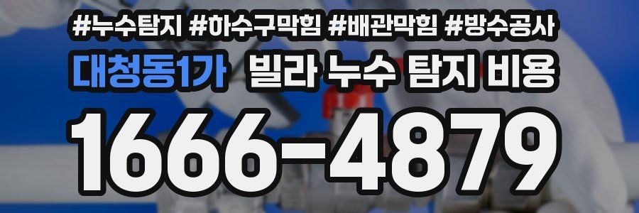 대청동1가 빌라 누수 탐지 비용