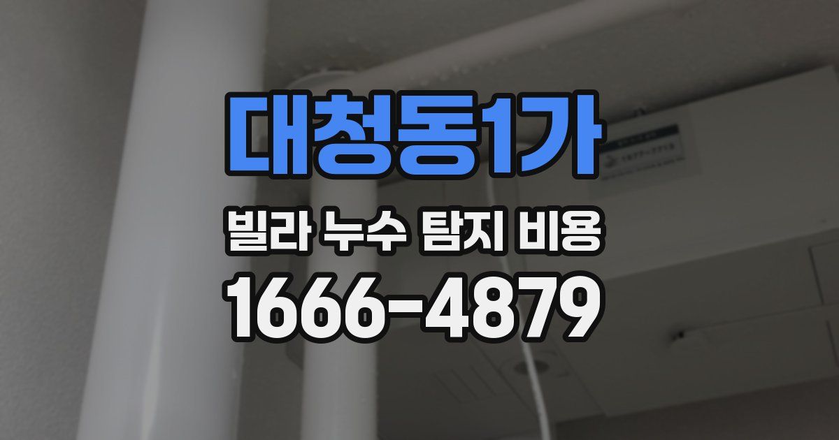 대청동1가 빌라 누수 탐지 비용