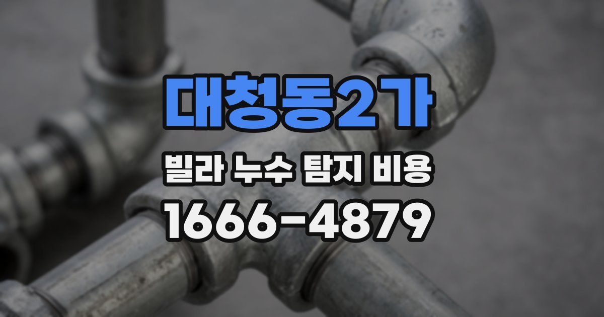 대청동2가 빌라 누수 탐지 비용