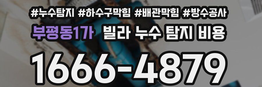 부평동1가 빌라 누수 탐지 비용