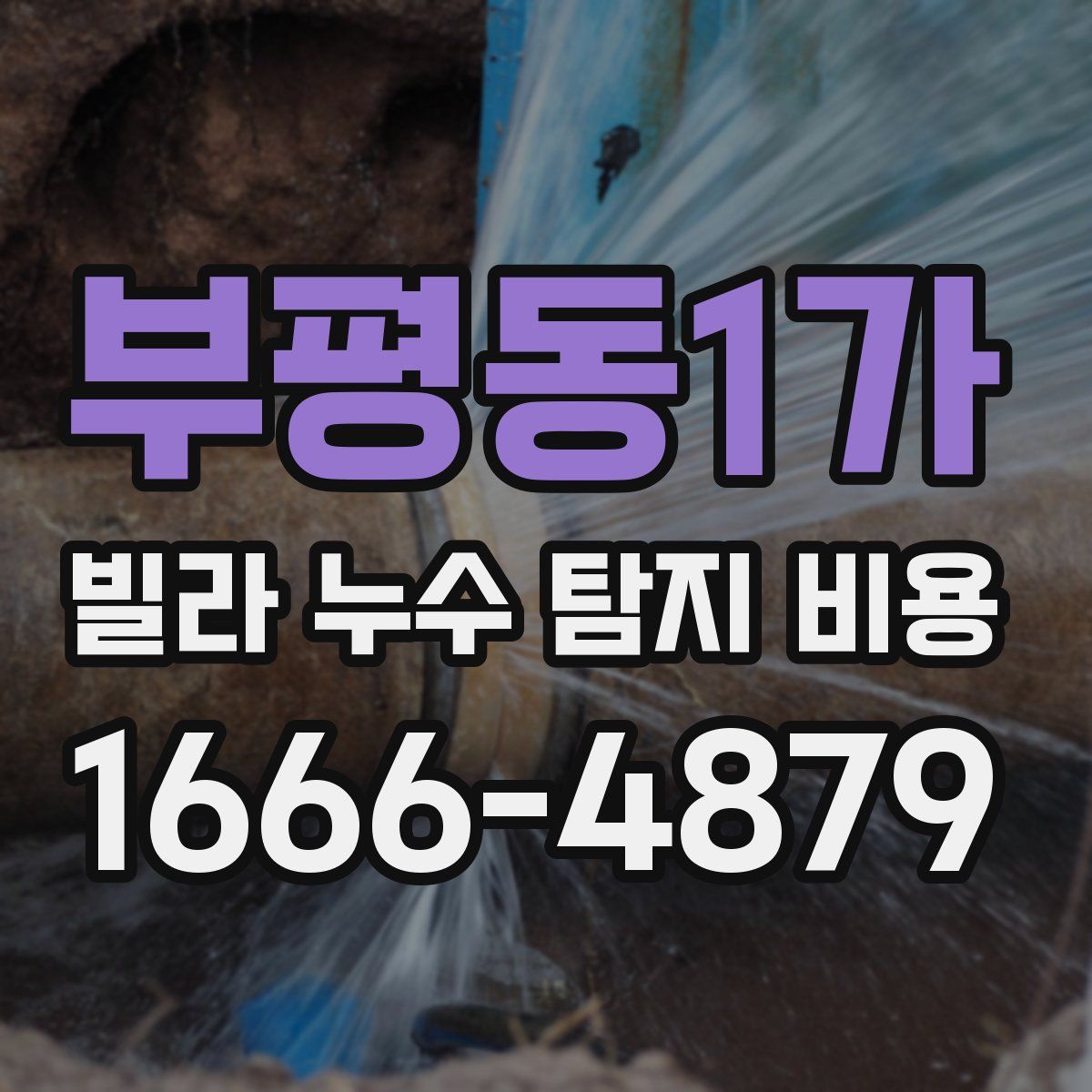 부평동1가 빌라 누수 탐지 비용