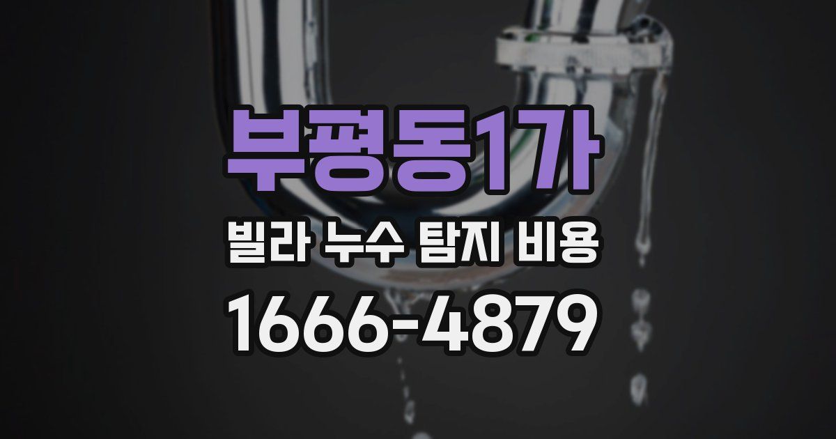 부평동1가 빌라 누수 탐지 비용