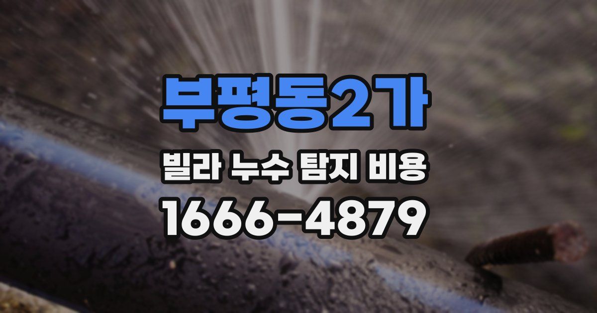 부평동2가 빌라 누수 탐지 비용