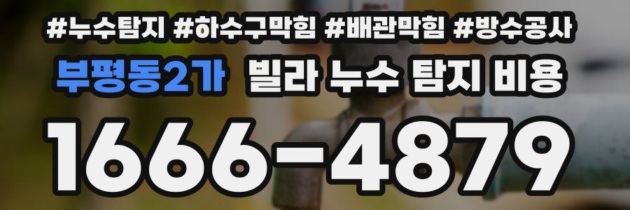 부평동2가 빌라 누수 탐지 비용