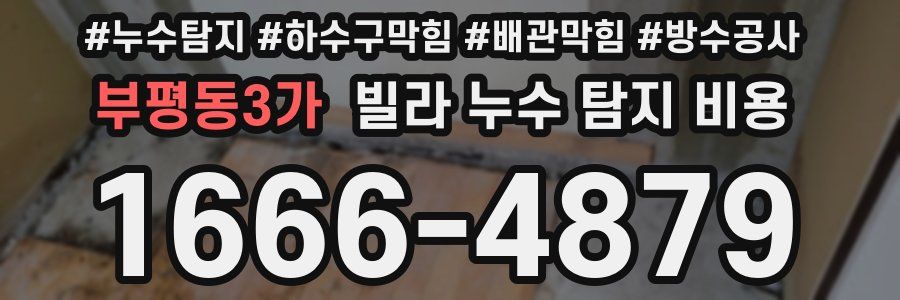 부평동3가 빌라 누수 탐지 비용