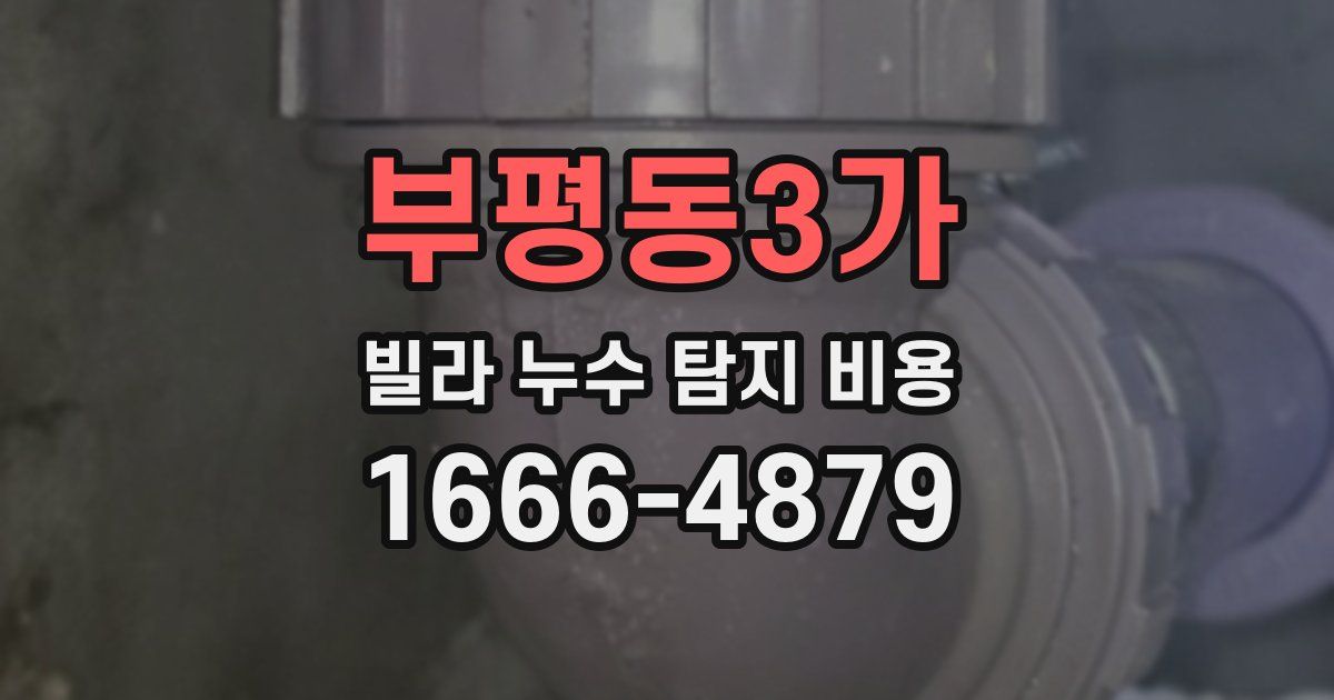 부평동3가 빌라 누수 탐지 비용