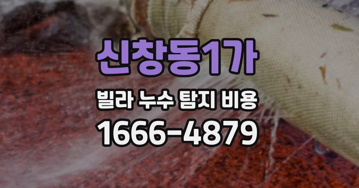 신창동1가 빌라 누수 탐지 비용