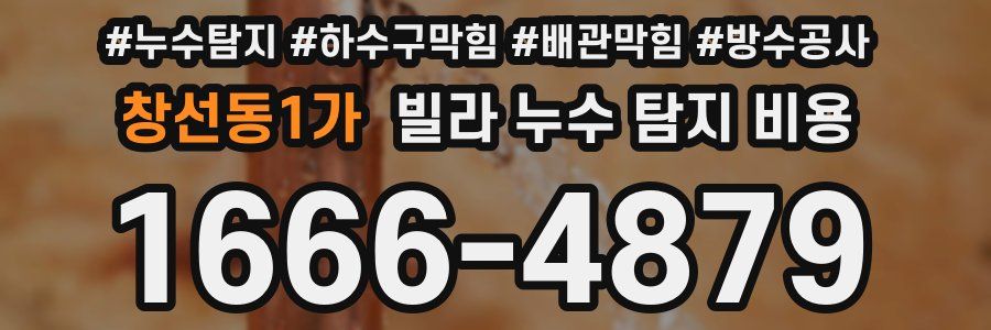 창선동1가 빌라 누수 탐지 비용