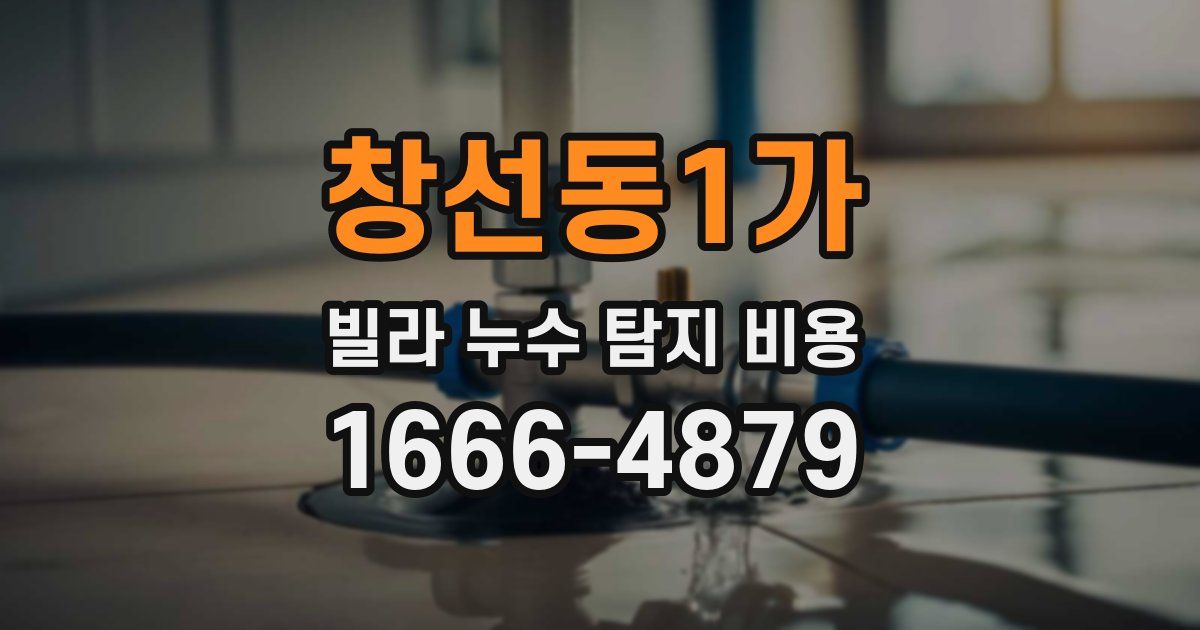 창선동1가 빌라 누수 탐지 비용
