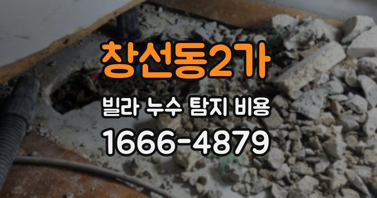 창선동2가 빌라 누수 탐지 비용