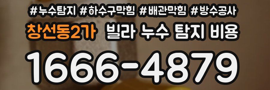 창선동2가 빌라 누수 탐지 비용