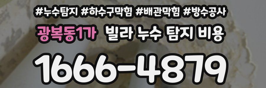 광복동1가 빌라 누수 탐지 비용