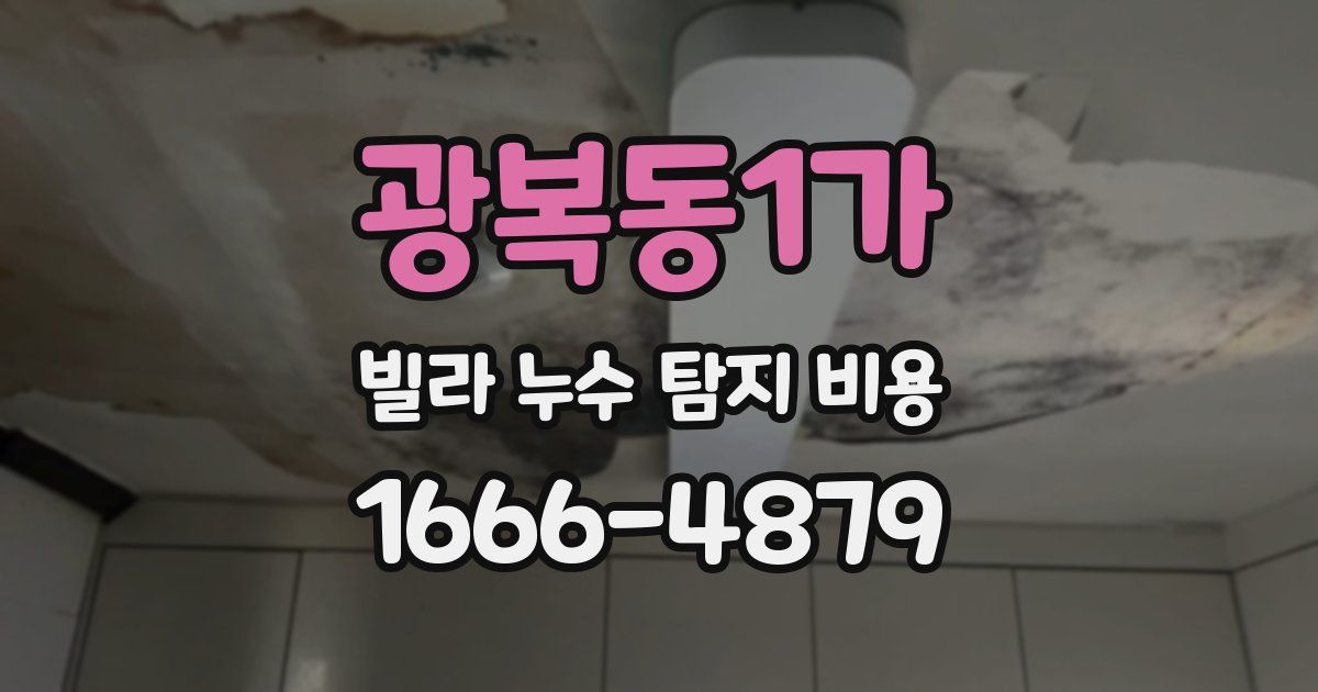 광복동1가 빌라 누수 탐지 비용