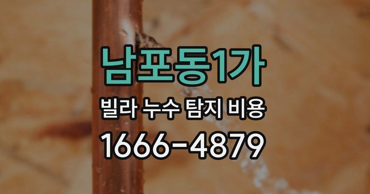 남포동1가 빌라 누수 탐지 비용