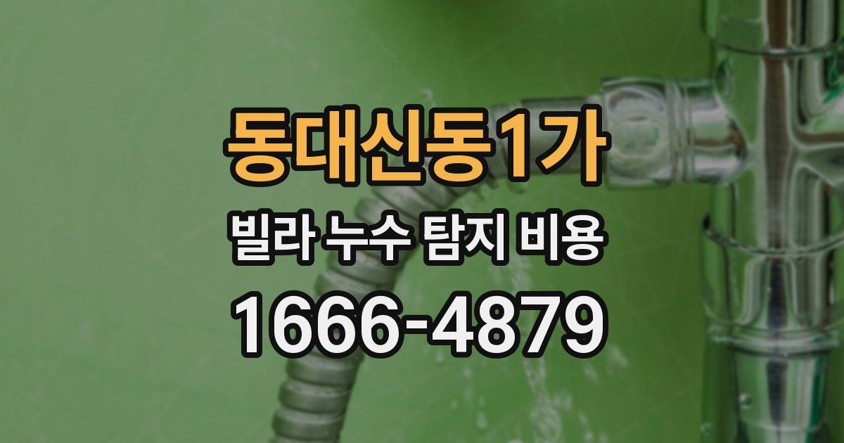 동대신동1가 빌라 누수 탐지 비용