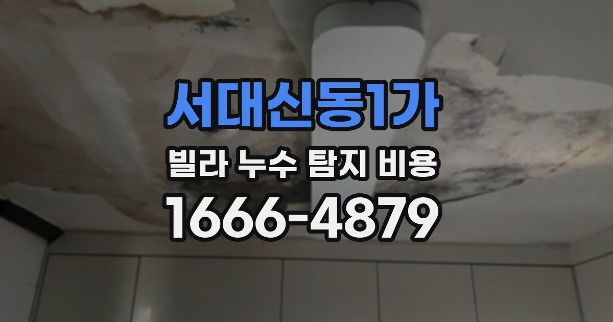 서대신동1가 빌라 누수 탐지 비용