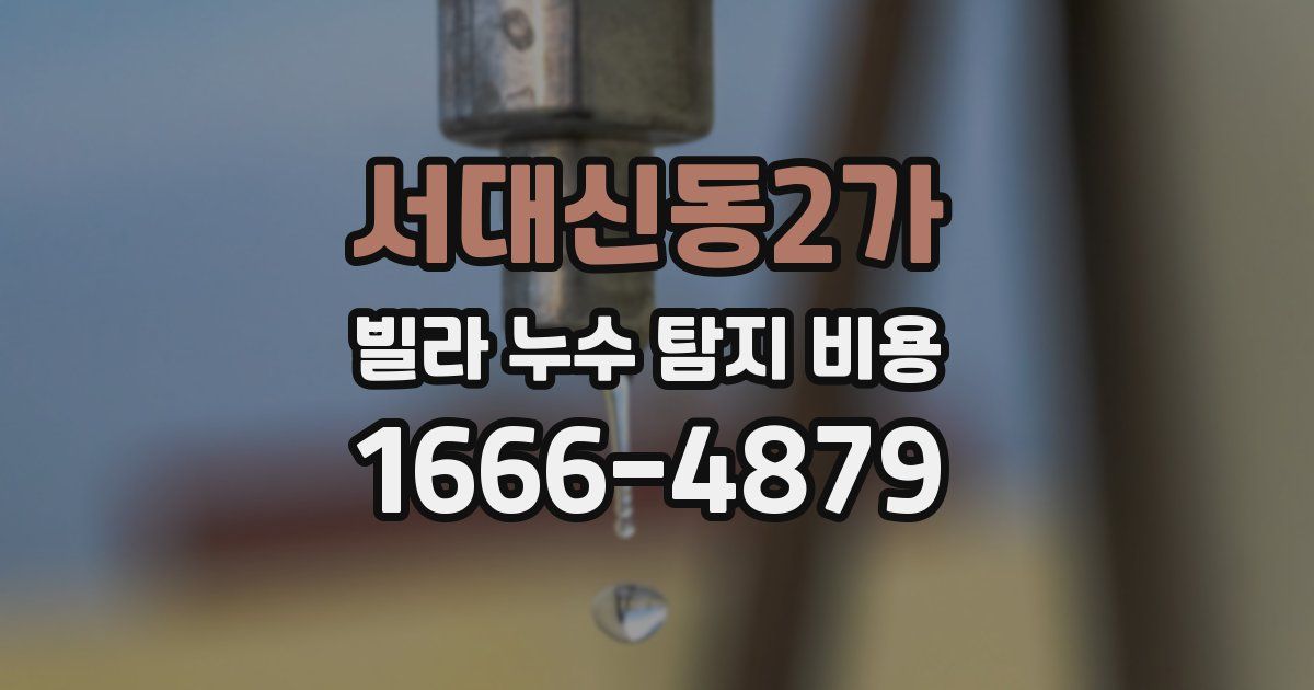 서대신동2가 빌라 누수 탐지 비용