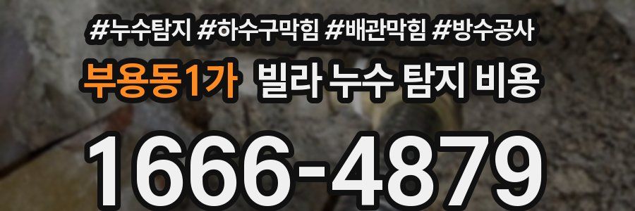 부용동1가 빌라 누수 탐지 비용