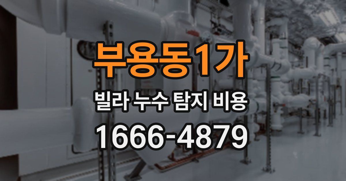 부용동1가 빌라 누수 탐지 비용