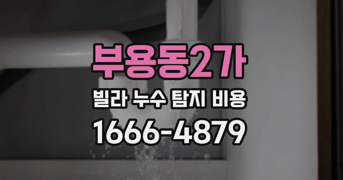 부용동2가 빌라 누수 탐지 비용
