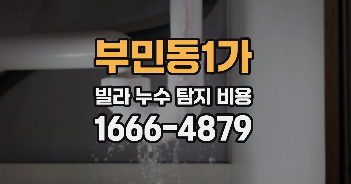 부민동1가 빌라 누수 탐지 비용