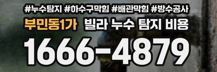 부민동1가 빌라 누수 탐지 비용