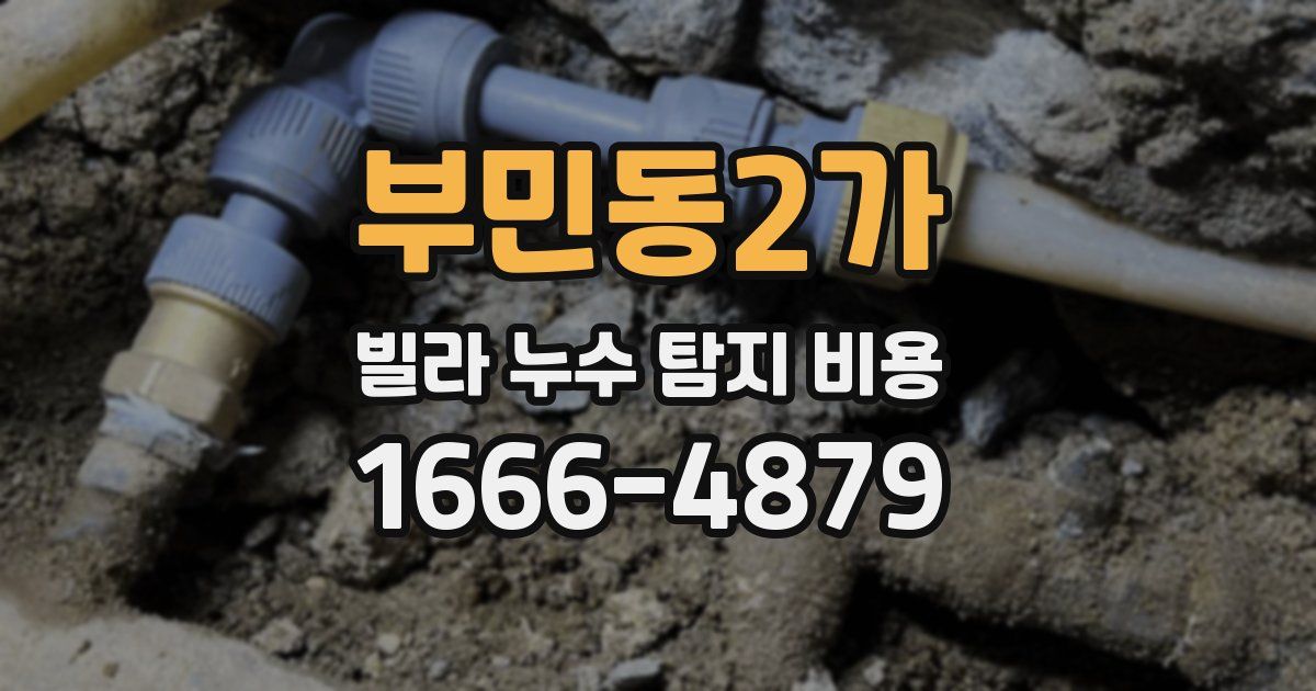 부민동2가 빌라 누수 탐지 비용
