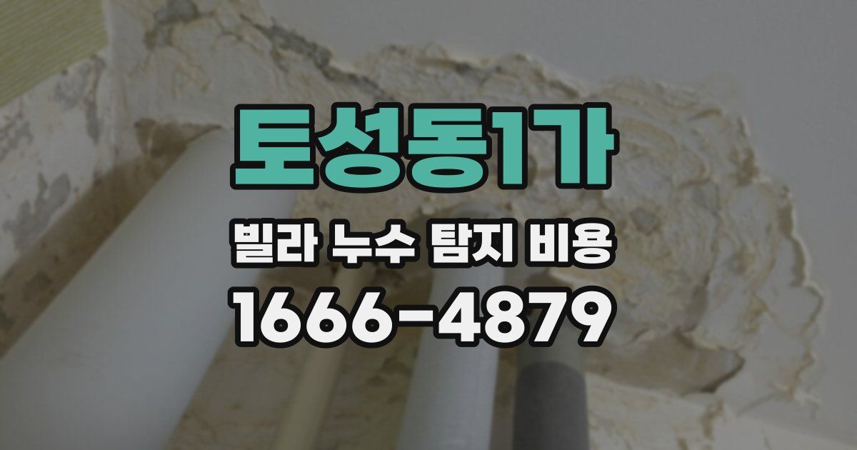 토성동1가 빌라 누수 탐지 비용