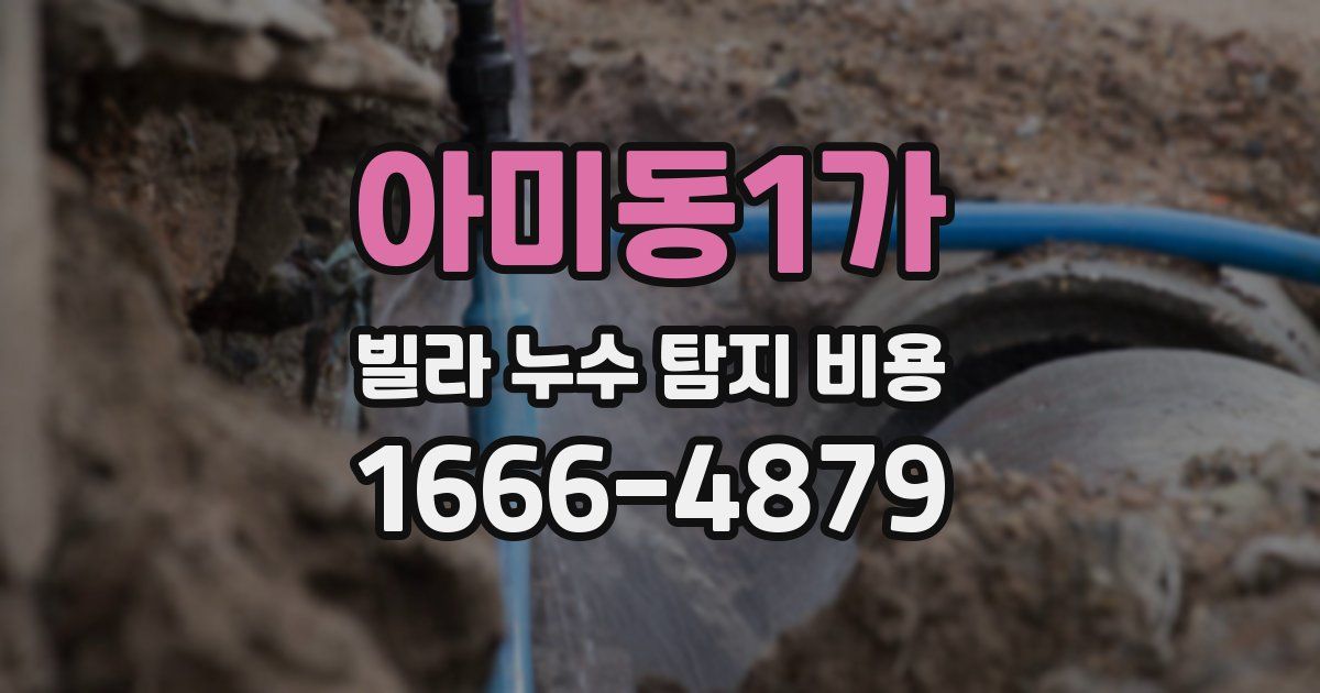 아미동1가 빌라 누수 탐지 비용