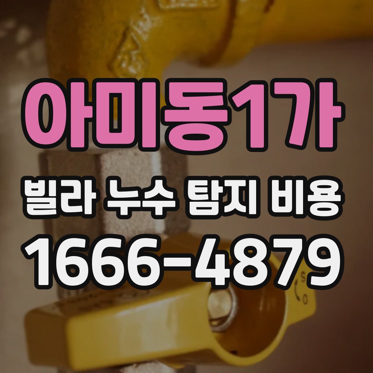 아미동1가 빌라 누수 탐지 비용