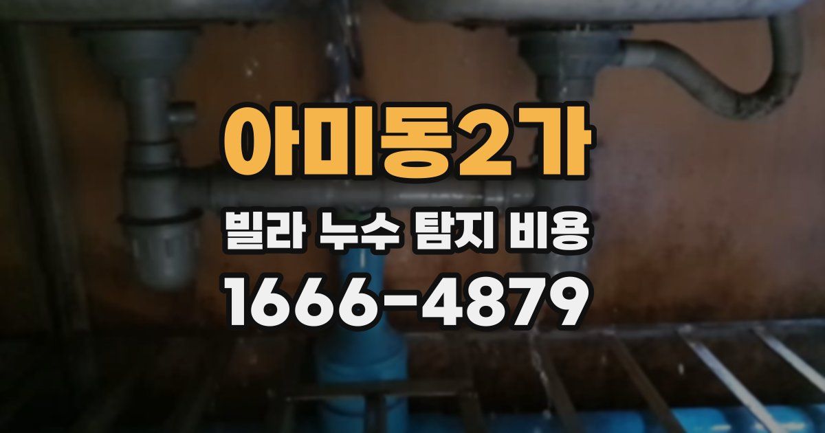 아미동2가 빌라 누수 탐지 비용