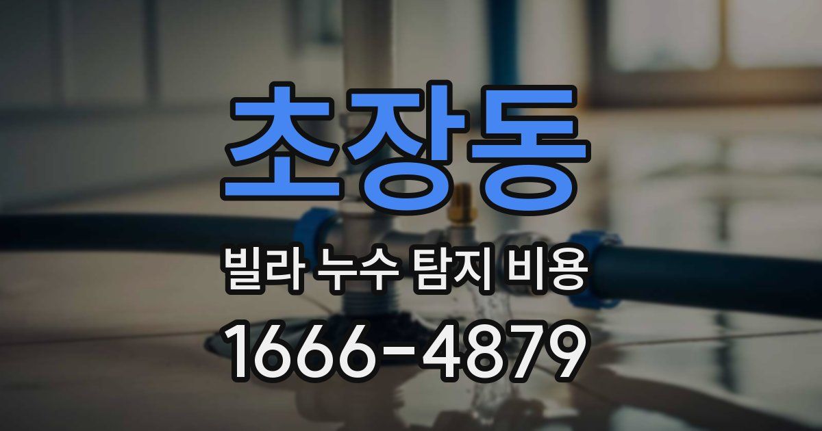 초장동 빌라 누수 탐지 비용